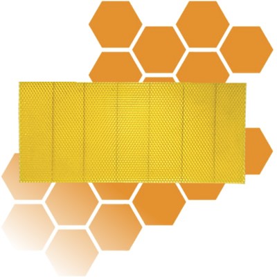 Langstroth Foundation Comb